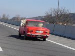 thehorsesroadtrippn8gs8[1].jpg