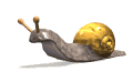 caracol.gif caracol.gif