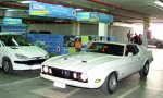 GINES7179..jpg