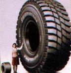 largesttire..jpg largesttire..jpg