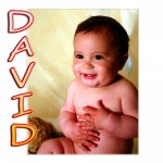 WEBDAVID2673..jpg