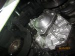 IMG_2747.jpg