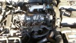 Motor.jpg