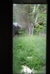 DSC_1018.JPG DSC_1018.JPG
