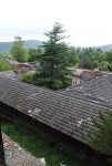 DSC_1135.JPG DSC_1135.JPG
