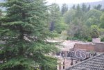 DSC_1136.JPG DSC_1136.JPG