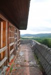 DSC_1147.JPG DSC_1147.JPG