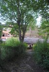 DSC_1213.JPG DSC_1213.JPG