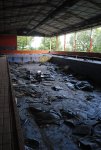 DSC_1219.JPG DSC_1219.JPG