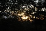 DSC_1243.JPG DSC_1243.JPG