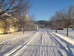 IMG_2288.JPG