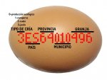 huevo-huevito.jpg huevo-huevito.jpg