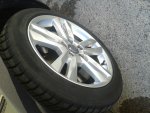 20130309_114620.jpg