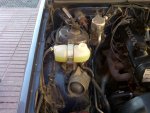IMG-20131112-00290.jpg
