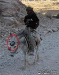 bmw..jpg