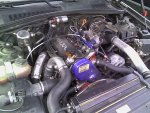IMG_20140708_085602.jpg