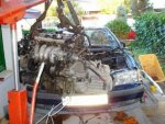 DSC00113.jpg
