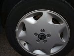 DSC00560.JPG