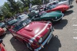 DSC_6177.jpg