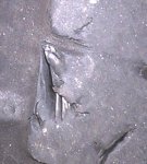 WP_20170512_21_30_23_Pro_2.jpg WP_20170512_21_30_23_Pro_2.jpg
