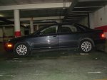 DSC08277 (Large)..JPG