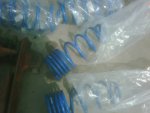 IMG00237-20100910-1&.jpg