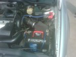 IMG00238-20100910-1&.jpg