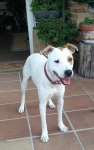 Golfo.jpg