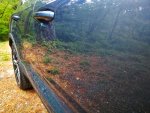 IMG-20181011-WA0016.jpg