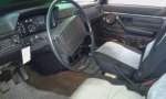 IMG-20180308-WA0005.jpg