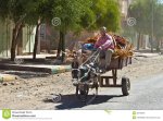 carro-de-burro-36949048.jpg