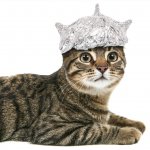 tinfoilhatday-3-1024x1024.jpg tinfoilhatday-3-1024x1024.jpg