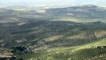 cerros de ubeda.jpg