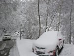 IMG_20170304_090536.jpg