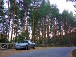 IMG_20200915_025120.jpg