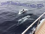 BE6B1ED2-716C-4D5B-B12A-5BAAFCF1AC02.jpeg