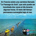 FB_IMG_1609945598901.jpg