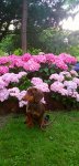 20210611_070231.jpg 20210611_070231.jpg