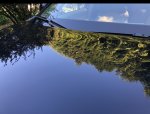 B9328A75-637A-4A45-B03A-4BD921DF15E9.jpeg