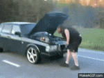 ScaredRadiantHorseshoebat-max-1mb.gif ScaredRadiantHorseshoebat-max-1mb.gif