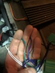 IMG_7143.jpeg IMG_7143.jpeg