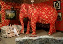 IMG_4060.jpeg