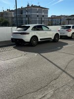 IMG_2594.jpeg