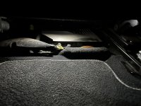 IMG_1313.jpeg