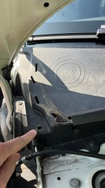 IMG_0125.jpeg