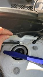 IMG_0127.jpeg