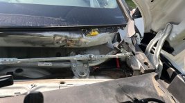 IMG_0128.jpeg