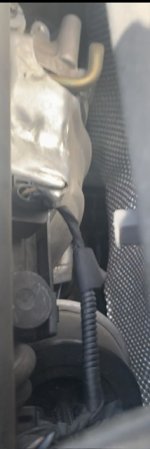 IMG_9890.jpeg