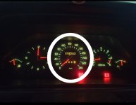 1000124454.jpg