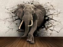 61BZECxeAGS._UF1000,1000_QL80_.jpg